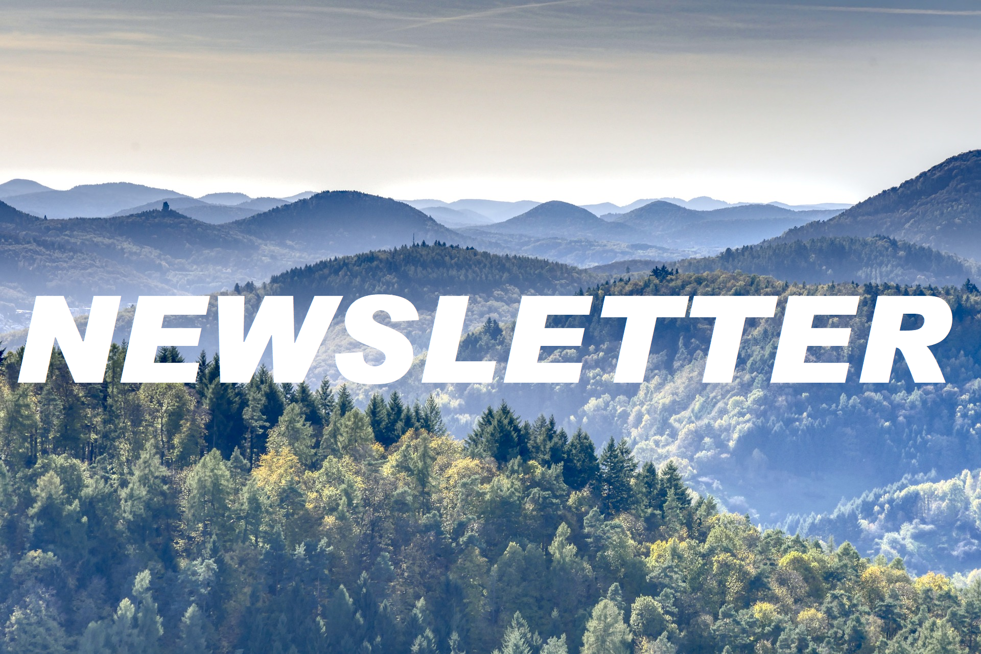 Vielfältige Newsletter versorgen regelmäßig eine große Leserschaft mit Neuigkeiten und Wissenswertem aus der Pfalz.