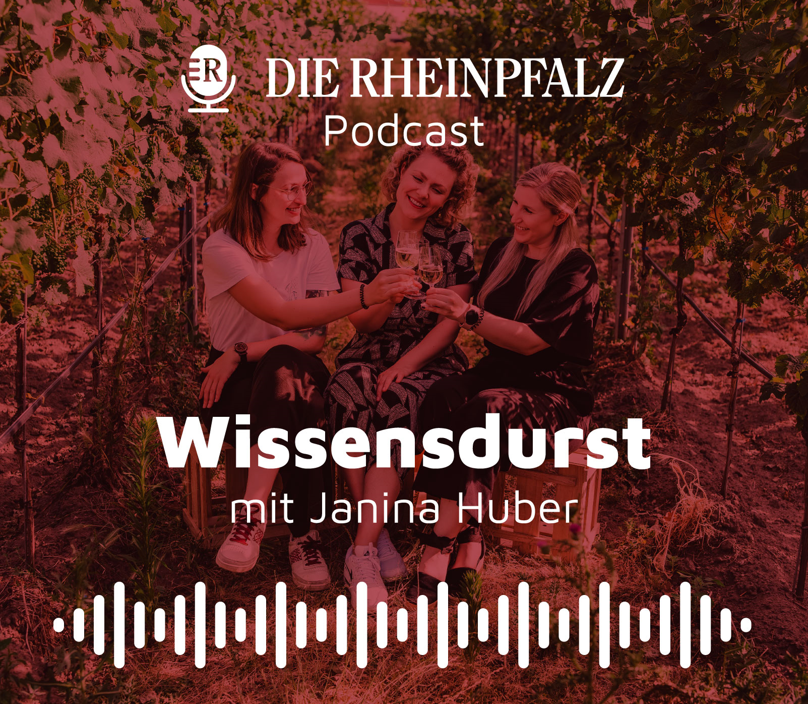 Digitale Prospekte bei der RHEINPFALZ auf dem Desktop, Tablet und Smartphone